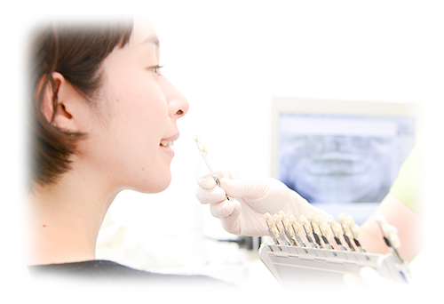 「美しさ」を追求する豊富なメニュー